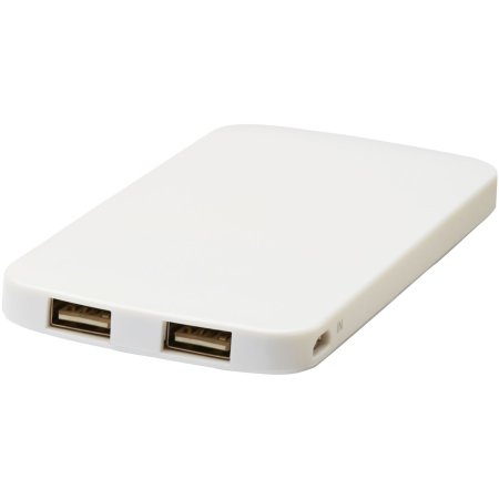 Zippy 4000 mAh flache Dual Powerbank