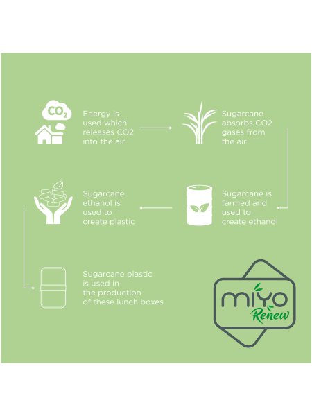 miyo-renew-doppel-lunchbox-granitfarbengranitfarbenschwarz-47.jpg