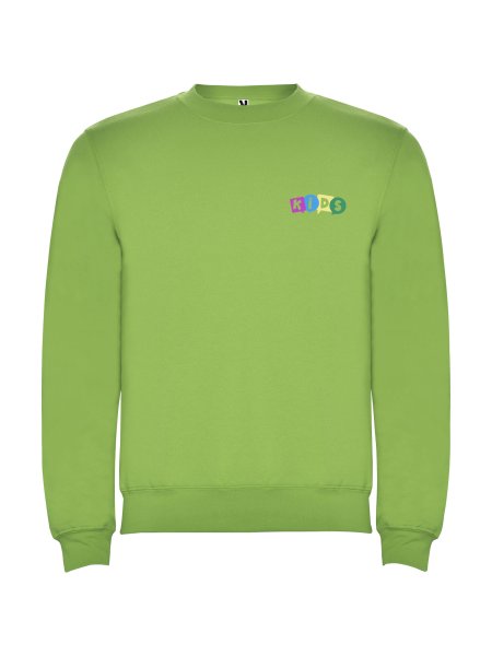 clasica-sweatshirt-mit-rundhalsausschnitt-fur-kinder-oasis-green-67.jpg