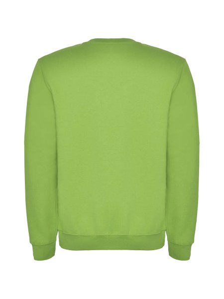 clasica-sweatshirt-mit-rundhalsausschnitt-fur-kinder-oasis-green-68.jpg