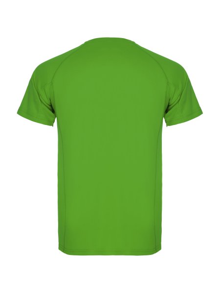 roly-sport-t-shirt-fur-herren-zum-bedrucken-polyester-150-g-m2-green-fern-95.jpg