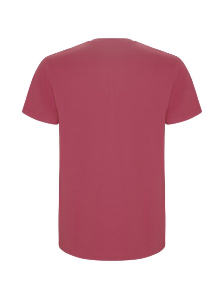 roly-kurzarmeliges-t-shirt-in-schlauchform-fur-herren-baumwolle-190-g-m2-chrysanthemum-red-136.jpg