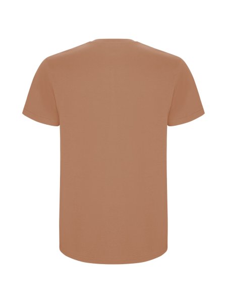 roly-kurzarmeliges-t-shirt-in-schlauchform-fur-herren-baumwolle-190-g-m2-greek-orange-106.jpg