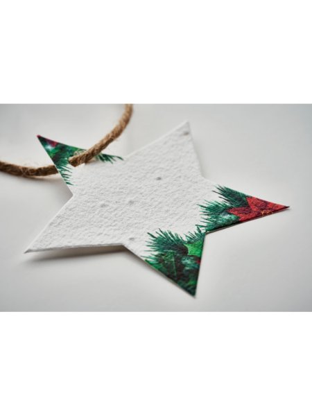 weihnachtsschmuck-samenpapier-weiss-8.jpg