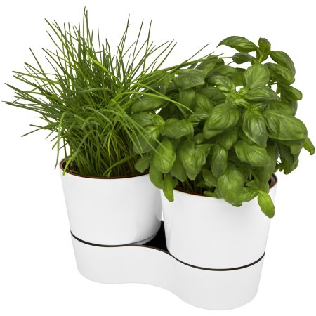 Herbs-Topf für die Küche, doppelt