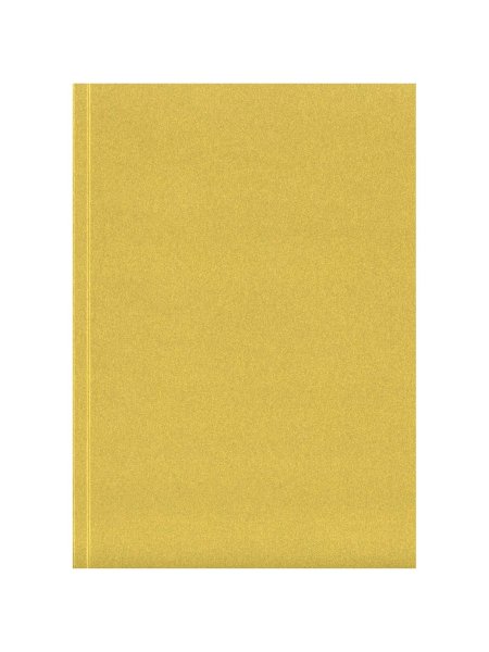novella-austen-a5-softcover-notizbuch-mit-logo-gold-46.jpg