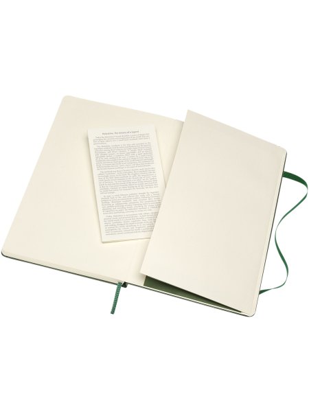moleskine-classic-hardcover-notizbuch-l-liniert-myrtengrun-66.jpg