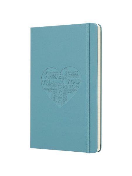 moleskine-classic-hardcover-notizbuch-l-liniert-riffblau-47.jpg