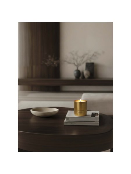 bedruckte-duftkerze-wellmark-210-g-81-x-65-cm-gold-12.jpg